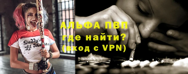 ECSTASY Богданович