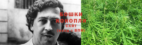 мескалин Богородицк