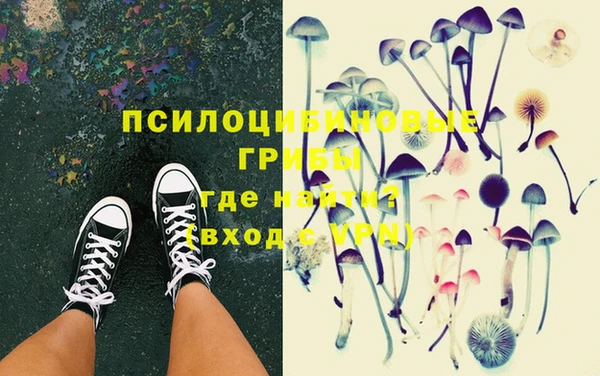 ECSTASY Богданович